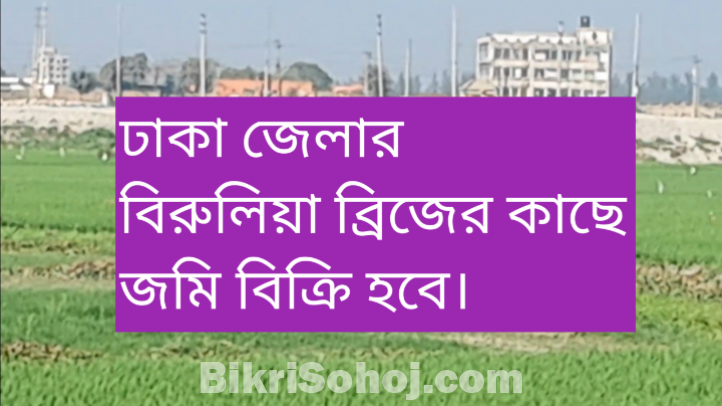 ঢাকা জেলার বিরুলিয়া ব্রিজ এর কাছে জমি  বিক্রি হবে ।